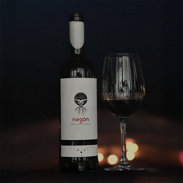 Botella y copa de vino tinto Negón Ribera del Duero junto a una luz cálida